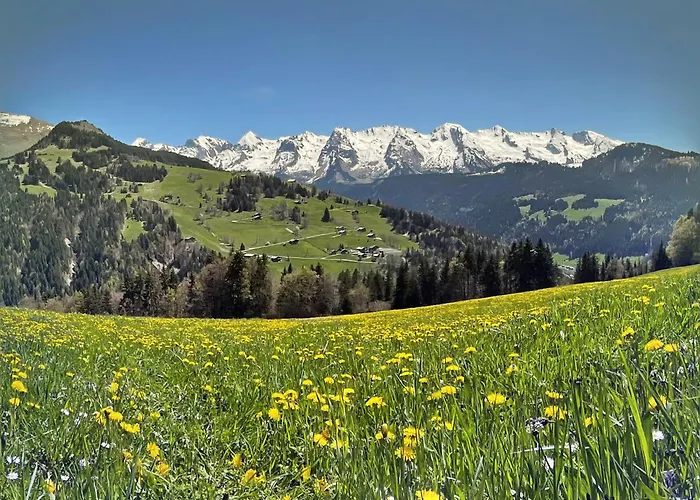 Chalet Armor - Sauna et Vue Montagne