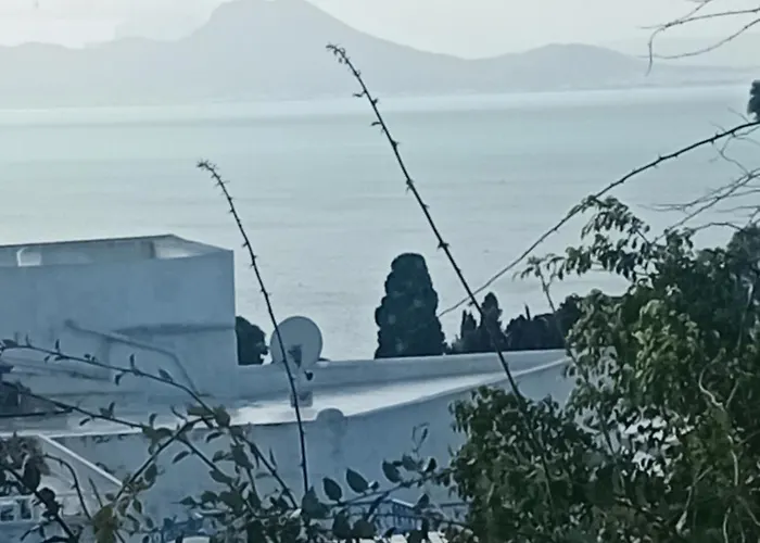 S9 Rooftop And Sea View In Sidi Bou Said