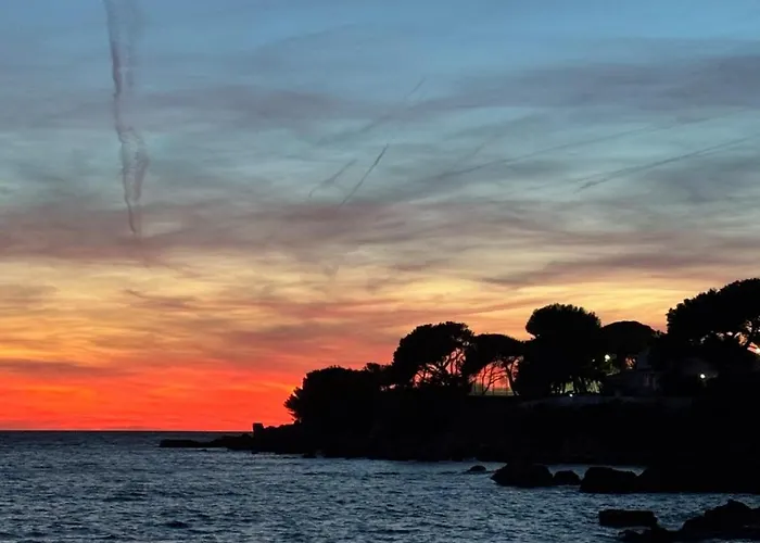 Bandol A Bandol Cha Cha Cha - Appartement