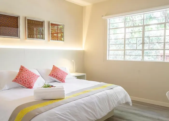 Dazzling House In The Heart Of Coyoacan/12 Guests