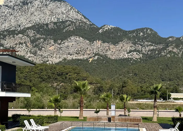 Palmiye Home Havuzlu Apart Dag Manzarali Goeynuek Kemer