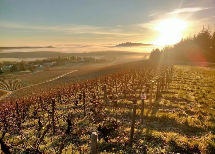 l'Eden du sancerrois