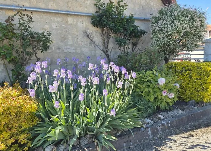 Au Jardin Fleuri