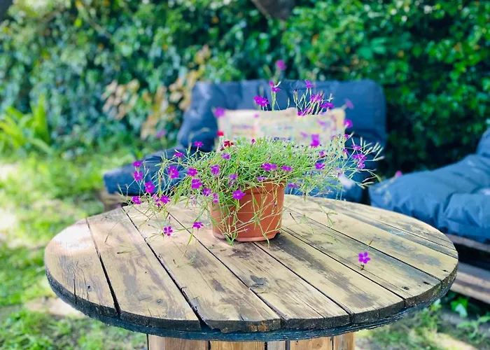 Tiny House avec jacuzzi privé - calme et nature