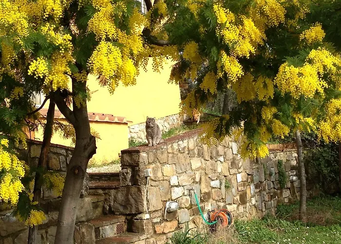 Il Casalone