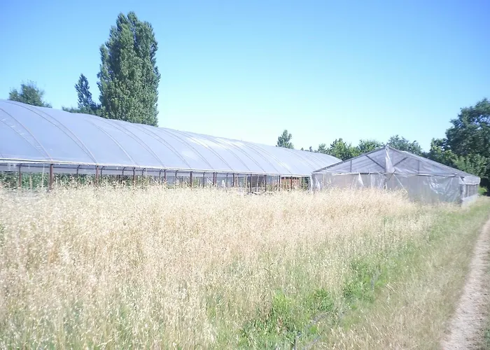 Pian Del Pigro