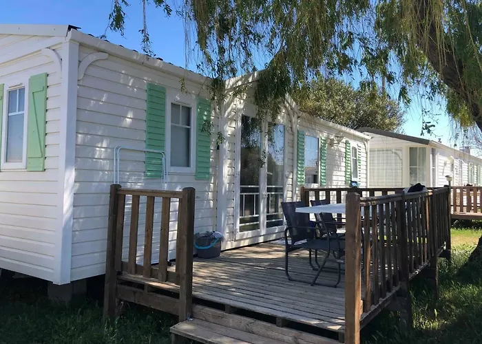 Camping Horizon Bar