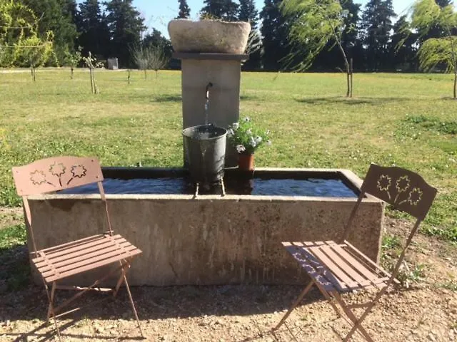 Safranière des Sorgues